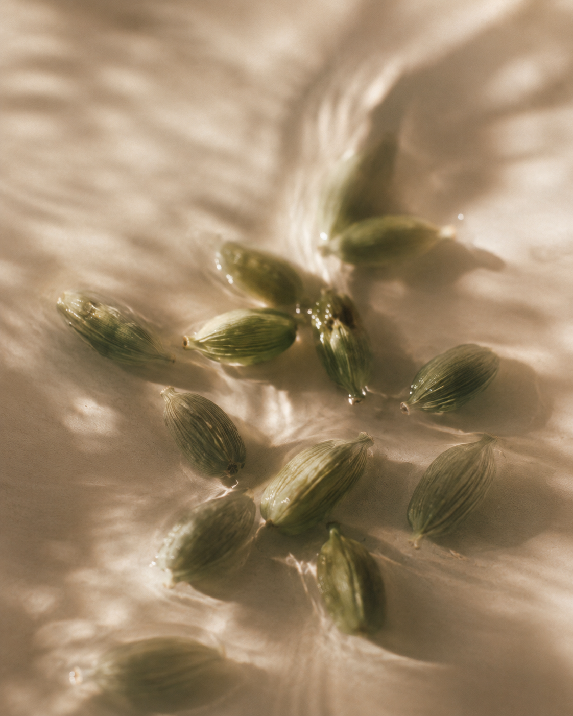 Gel Doccia Zenzero & Cardamomo Affumicato ED. LIMITATA